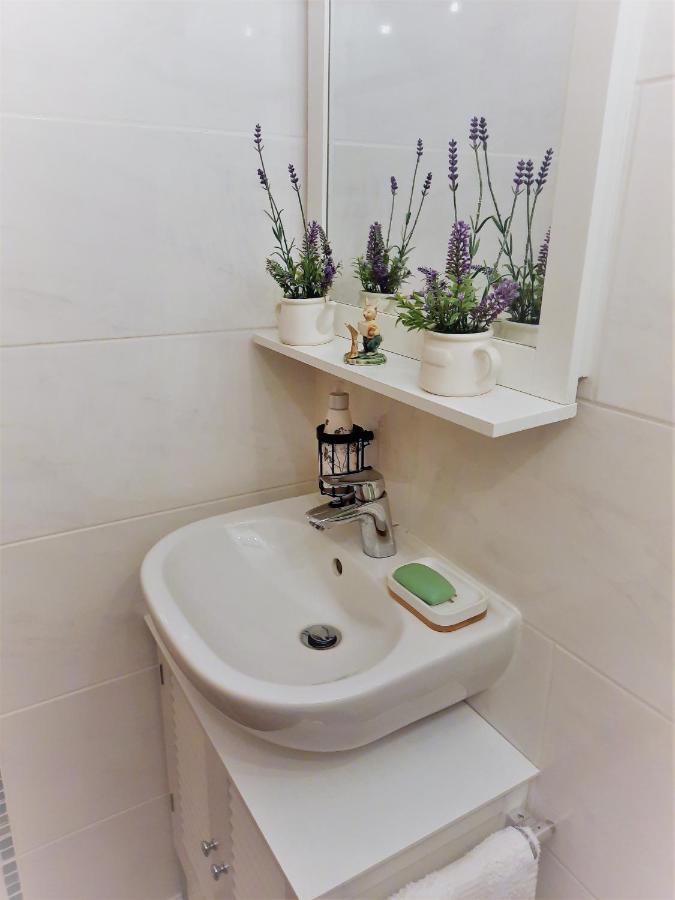 Funny Jungle Ferienwohnung Im Hahnenklee Goslar Zewnętrze zdjęcie