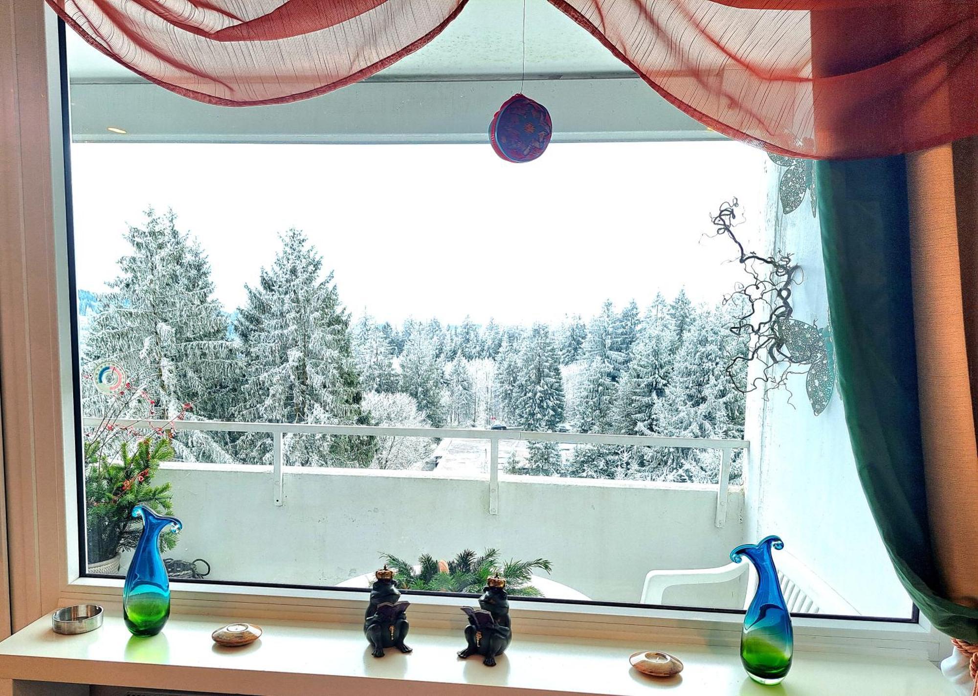 Funny Jungle Ferienwohnung Im Hahnenklee Goslar Zewnętrze zdjęcie