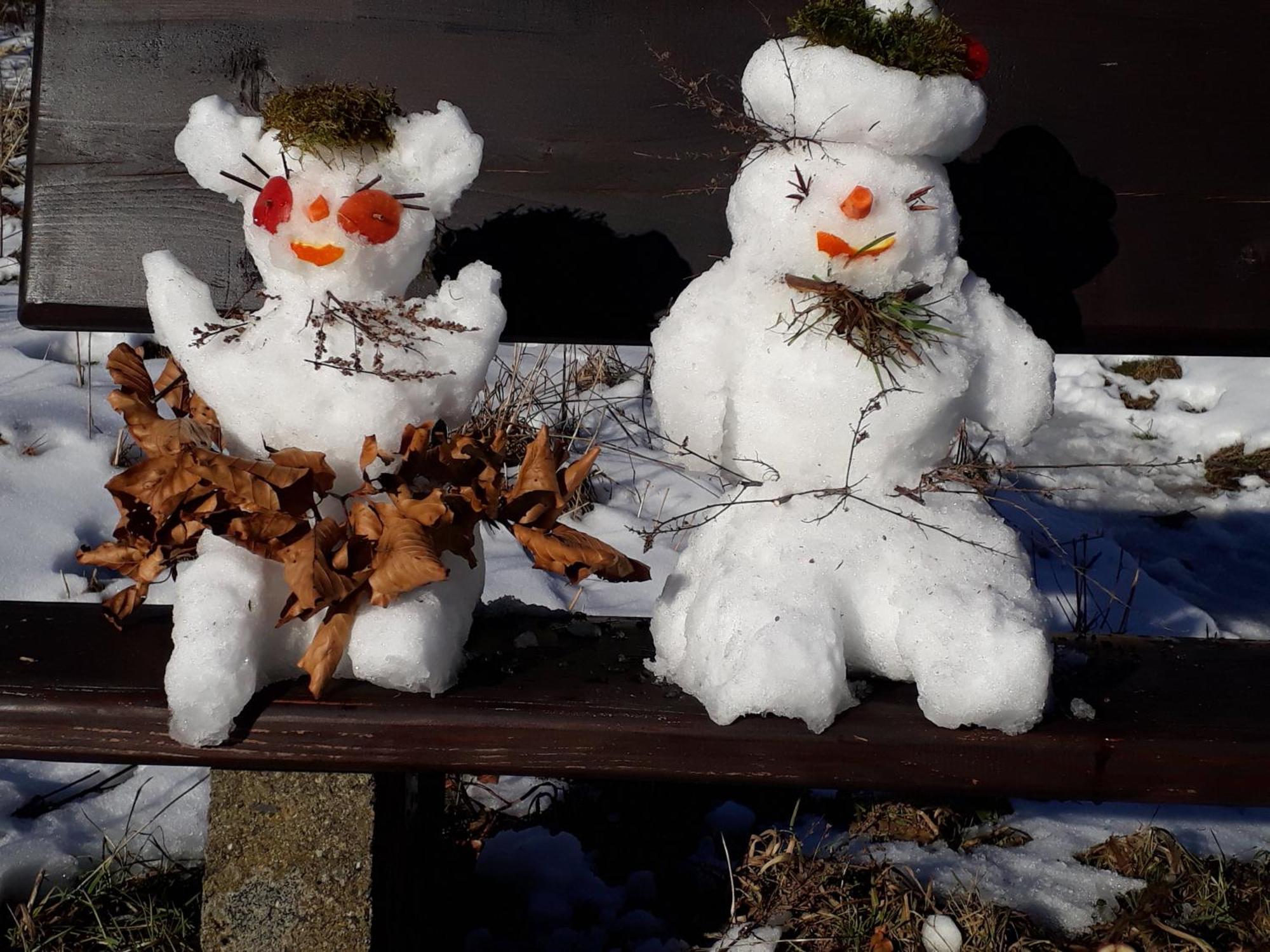 Funny Jungle Ferienwohnung Im Hahnenklee Goslar Zewnętrze zdjęcie